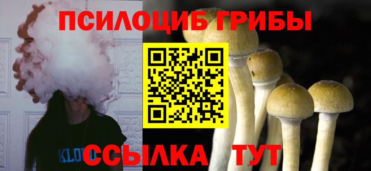 Псилоцибиновые грибы мицелий  Вход с VPN  Клинцы 